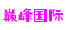 上海市巅峰国际软件开发有限公司